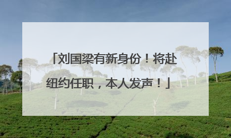 刘国梁有新身份！将赴纽约任职，本人发声！