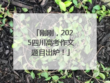 刚刚，2025四川高考作文题目出炉！