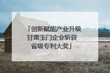 创新赋能产业升级 甘肃玉门企业斩获省级专利大奖