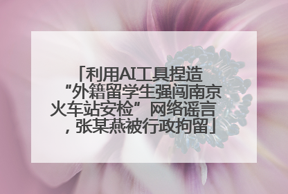 利用AI工具捏造 “外籍留学生强闯南京火车站安检”网络谣言，张某燕被行政拘留