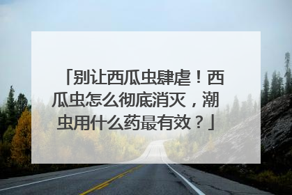别让西瓜虫肆虐！西瓜虫怎么彻底消灭，潮虫用什么药最有效？