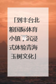 到丰台北粮国际体育小镇，沉浸式体验青海玉树文化