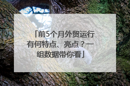 前5个月外贸运行有何特点、亮点？一组数据带你看