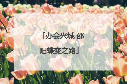 办会兴城 邵阳蝶变之路