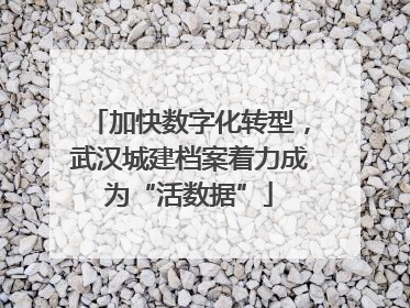 加快数字化转型，武汉城建档案着力成为“活数据”