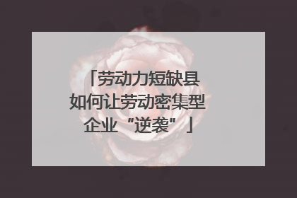 劳动力短缺县 如何让劳动密集型企业“逆袭”