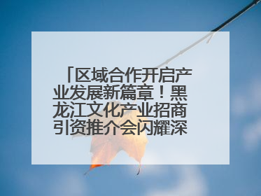 区域合作开启产业发展新篇章！黑龙江文化产业招商引资推介会闪耀深圳文博会