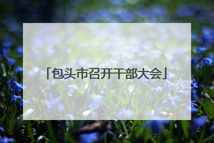 包头市召开干部大会