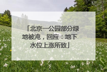 北京一公园部分绿地被淹，回应：地下水位上涨所致