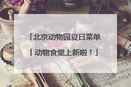 北京动物园夏日菜单丨动物食堂上新啦！