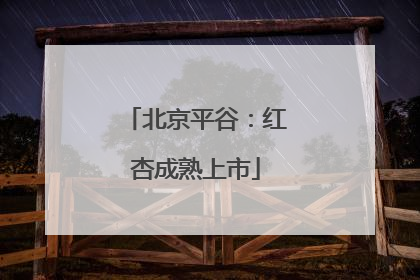 北京平谷：红杏成熟上市