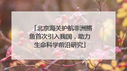 北京海关护航非洲鳉鱼首次引入我国，助力生命科学前沿研究