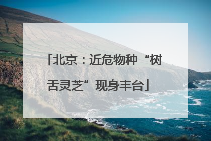 北京：近危物种“树舌灵芝”现身丰台