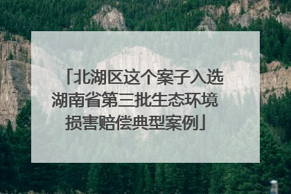 北湖区这个案子入选湖南省第三批生态环境损害赔偿典型案例