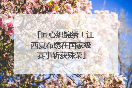 匠心织锦绣！江西夏布绣在国家级赛事斩获殊荣