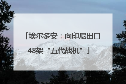 埃尔多安：向印尼出口48架“五代战机”