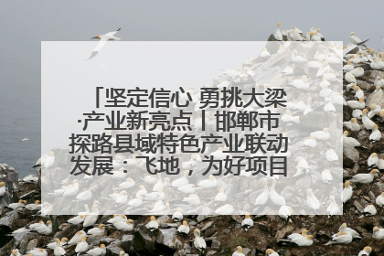 坚定信心 勇挑大梁·产业新亮点丨邯郸市探路县域特色产业联动发展：飞地，为好项目跨域安个家