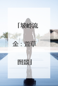 坡岭流金：萱草图景
