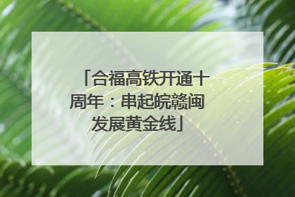 合福高铁开通十周年：串起皖赣闽发展黄金线