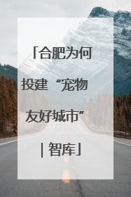 合肥为何投建“宠物友好城市”｜智库