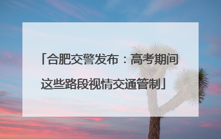 合肥交警发布：高考期间这些路段视情交通管制