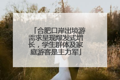 合肥口岸出境游需求呈现爆发式增长，学生群体及家庭游客是主力军