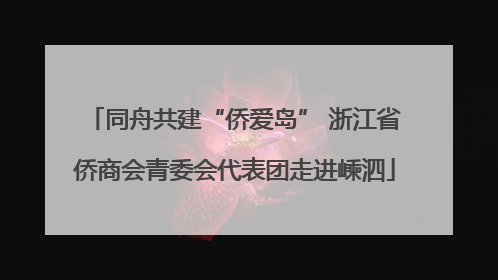 同舟共建“侨爱岛” 浙江省侨商会青委会代表团走进嵊泗