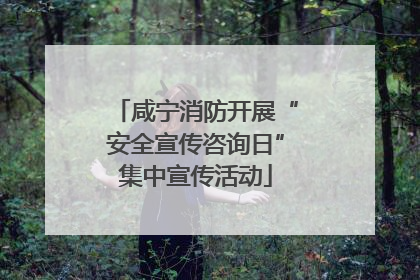 咸宁消防开展“安全宣传咨询日”集中宣传活动