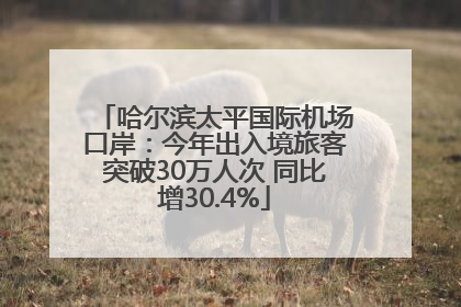 哈尔滨太平国际机场口岸：今年出入境旅客突破30万人次 同比增30.4%