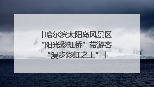 哈尔滨太阳岛风景区“阳光彩虹桥”带游客“漫步彩虹之上”