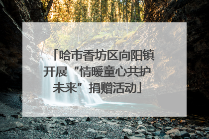 哈市香坊区向阳镇开展“情暖童心共护未来”捐赠活动