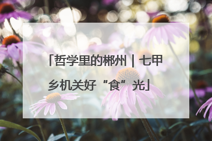 哲学里的郴州｜七甲乡机关好“食”光