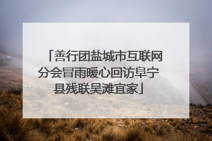 善行团盐城市互联网分会冒雨暖心回访阜宁县残联吴滩宜家