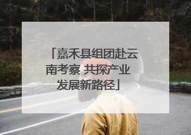 嘉禾县组团赴云南考察 共探产业发展新路径