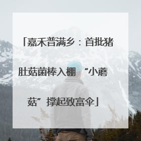 嘉禾普满乡：首批猪肚菇菌棒入棚 “小蘑菇”撑起致富伞