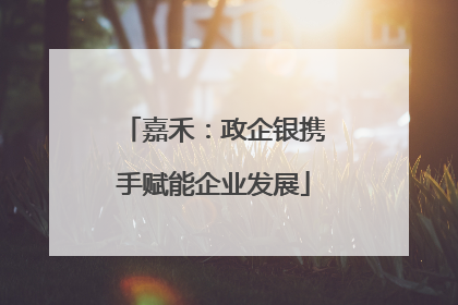 嘉禾：政企银携手赋能企业发展