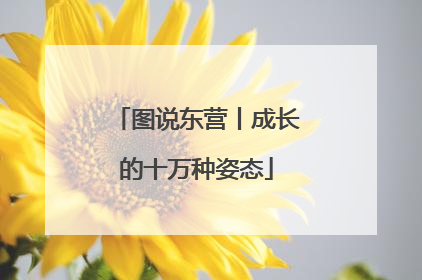 图说东营丨成长的十万种姿态
