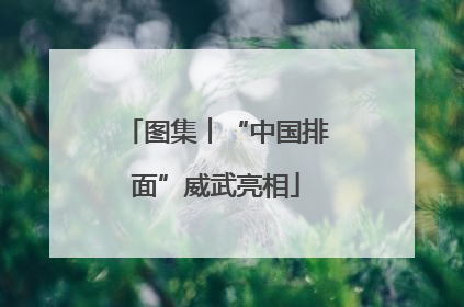 图集︱“中国排面”威武亮相