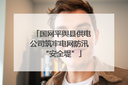 国网平舆县供电公司筑牢电网防汛“安全堤”
