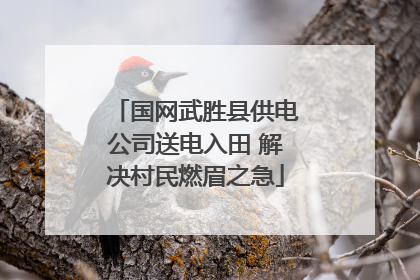 国网武胜县供电公司送电入田 解决村民燃眉之急