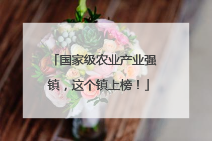国家级农业产业强镇，这个镇上榜！