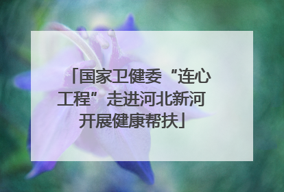 国家卫健委“连心工程”走进河北新河开展健康帮扶