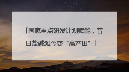 国家重点研发计划赋能，昔日盐碱滩今变“高产田”