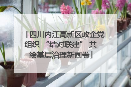 四川内江高新区政企党组织 “结对联建” 共绘基层治理新画卷