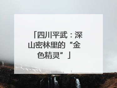 四川平武：深山密林里的“金色精灵”