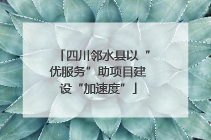 四川邻水县以“优服务”助项目建设“加速度”