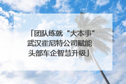 团队练就“大本事” 武汉霍尼特公司赋能头部车企智慧升级