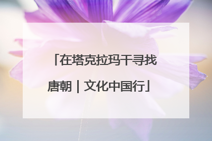 在塔克拉玛干寻找唐朝｜文化中国行
