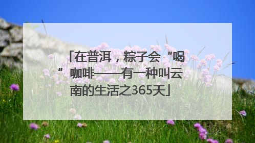 在普洱，粽子会“喝”咖啡——有一种叫云南的生活之365天