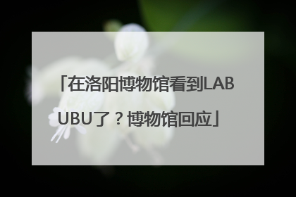 在洛阳博物馆看到LABUBU了？博物馆回应